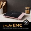 Bếp Từ Đơn Fujihome IC1207P