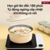 Bếp Từ Đơn Fujihome IC1901W