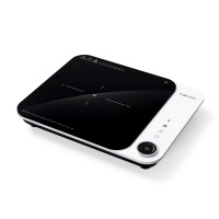 Bếp Từ Đơn Fujihome IC1901W