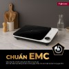 Bếp Từ Đơn Fujihome IC1901W