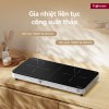 Bếp Từ Đôi Fujihome IC2602S