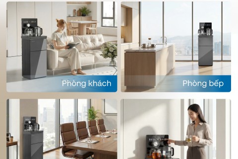 Gia Đình Nên Chọn Cây Nước Bàn Trà Fujihome Nào Tốt Nhất?