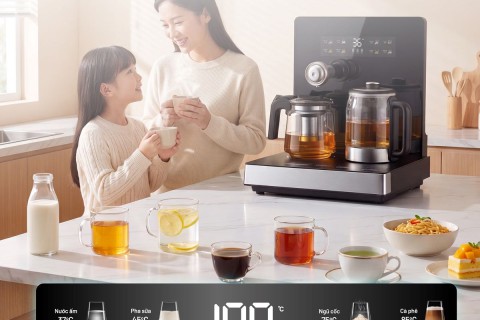 Máy Pha Trà Nước Nóng Để Bàn Fujihome TB503T 2026