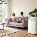 Mẹo Chọn Vị Trí Đặt Điều Hòa Di Động FujiHome Phù Hợp Mẹo Chọn Vị Trí Đặt Điều Hòa Di Động FujiHome Phù Hợp