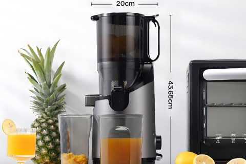 Fujihome SJ16: Giải Pháp Nước Ép Nguyên Quả Cao Cấp Cho Gia Đình Việt