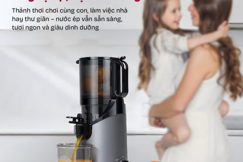 Xu Hướng Sống Khỏe 2026: SJ16 Và Chiến Lược "Hệ Sinh Thái" Từ Fujihome
