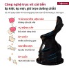 Máy ép chậm nguyên quả Fujihome SJ16