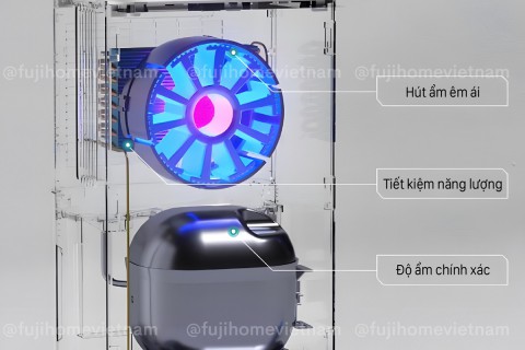 Phân Tích: Vì Sao Máy Hút Ẩm Lốc Nén (Compressor) Fujihome Tối Ưu Nhất Phân Tích: Vì Sao Máy Hút Ẩm Lốc Nén (Compressor) Fujihome Tối Ưu Nhất