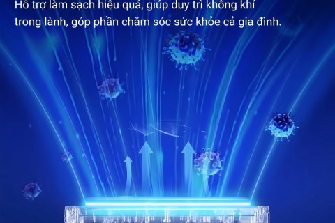 Máy Hút Ẩm FujiHome: Trợ Thủ Kiểm Soát Không Khí Quanh Năm