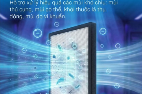 Chọn Dư Công Suất Máy Hút Ẩm Có Tốt?