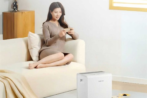 Mốc Không Biến Mất Chỉ Vì Bật Máy Hút Ẩm