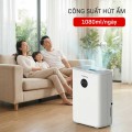 Máy Hút Ẩm Mùa Nồm Và Những Thiệt Hại Thầm Lặng
