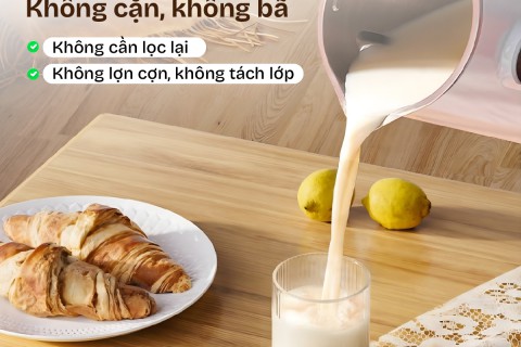 Máy Làm Sữa Hạt Fujihome SM1626: Chiến Lược Hệ Sinh Thái 2026 Máy Làm Sữa Hạt Fujihome SM1626: Chiến Lược Hệ Sinh Thái 2026