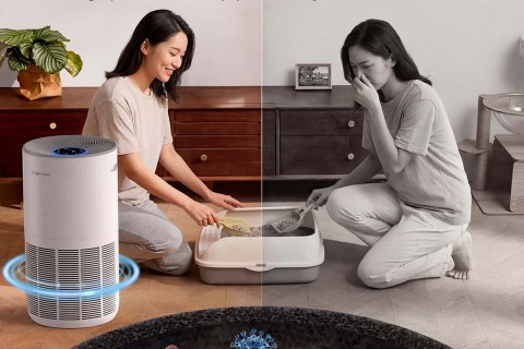 Cách Chọn Máy Lọc Không Khí Theo Diện Tích: CADR Bao Nhất
