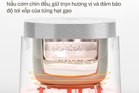 Nồi Cơm Điện Fujihome: Giá Bình Dân, Tính Năng Cao Cấp
