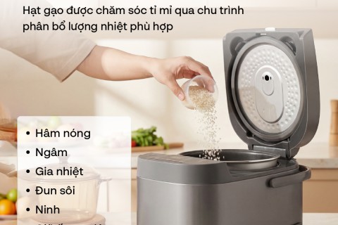 Fujihome vs Nhật/Hàn: Nồi Cơm Tách Đường Nào Đáng Mua?