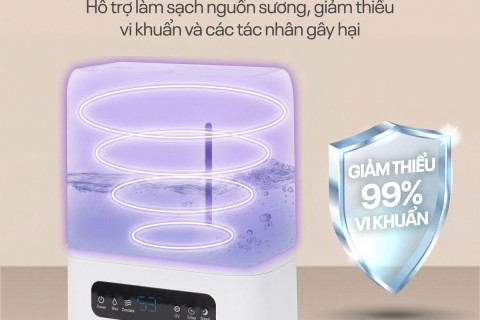 Thị Trường Máy Tạo Ẩm Gia Dụng 2026: Dải Sản Phẩm Đa Tầng Fujihome Thị Trường Máy Tạo Ẩm Gia Dụng 2026: Dải Sản Phẩm Đa Tầng Fujihome