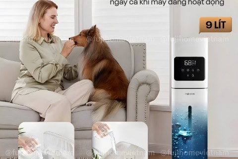 Review FujiHome HM09UV1 & HM09UV2: Đỉnh Cao Tạo Ẩm 9 Lít Review FujiHome HM09UV1 & HM09UV2: Đỉnh Cao Tạo Ẩm 9 Lít