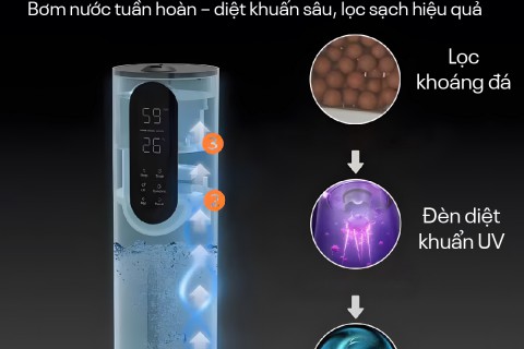 Chọn Máy Tạo Ẩm Fujihome Cho Phòng Ngủ: Nên Ưu Tiên Gì?