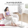 Quạt điện, quạt cây Fujihome SF3001