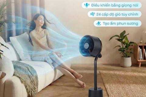 Dùng Quạt Fujihome Mùa Đông? Bí Quyết Sống Khỏe Khó Tin!
