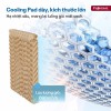 Máy làm mát bằng hơi nước kèm lọc không khí Fujihome AC-12