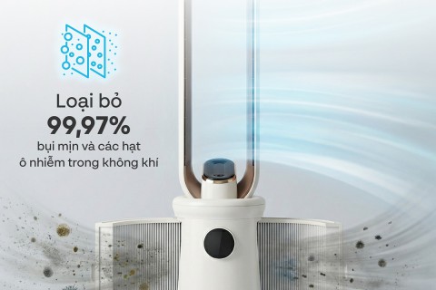 Quạt Fujihome: Giải Pháp Làm Mát Không Tiếng Ồn Cho Phòng Tập Yoga Quạt Fujihome: Giải Pháp Làm Mát Không Tiếng Ồn Cho Phòng Tập Yoga