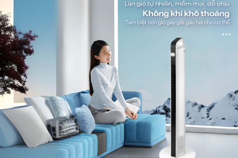 Fujihome SmartWind: Chọn ‘Thông Minh Toàn Diện’ Hay ‘Giá Rẻ Cơ Bản’? Fujihome SmartWind: Chọn ‘Thông Minh Toàn Diện’ Hay ‘Giá Rẻ Cơ Bản’?