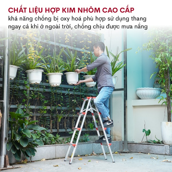Giải Mã Xu Hướng Thang Thép Carbon 2026: Hiểu Đúng Thông Số, Chọn Trúng Nhu Cầu