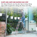 Thang Thép Carbon Giá Rẻ Có An Toàn? 5 Câu Hỏi Đặt Ra Thang Thép Carbon Giá Rẻ Có An Toàn? 5 Câu Hỏi Đặt Ra