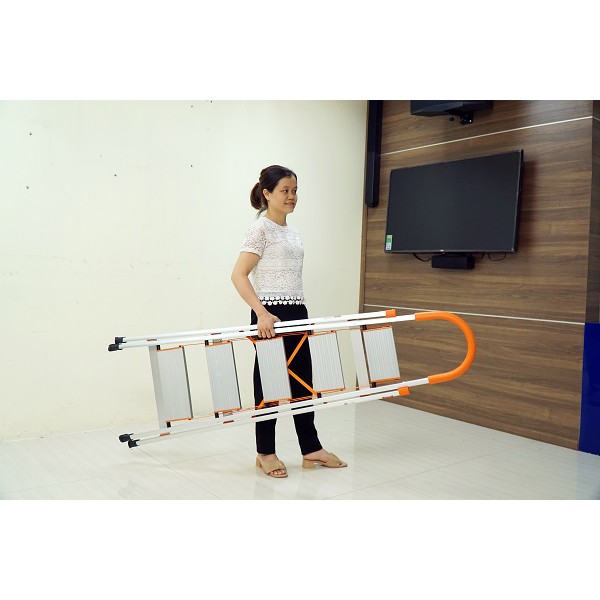 Giải Pháp Làm Việc Trên Cao An Toàn Cùng Thang Thép Carbon
