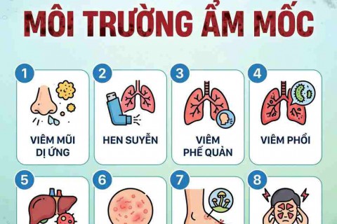 CẢNH BÁO: 8 CĂN BỆNH NGUY HIỂM DO NẤM MỐC GÂY RA – ĐỪNG COI THƯỜNG SỨC KHỎE GIA ĐÌNH! CẢNH BÁO: 8 CĂN BỆNH NGUY HIỂM DO NẤM MỐC GÂY RA – ĐỪNG COI THƯỜNG SỨC KHỎE GIA ĐÌNH!