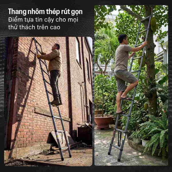 Phân Tích Sức Mạnh Cạnh Tranh Của Dòng Thang Thép Fujihome STL 