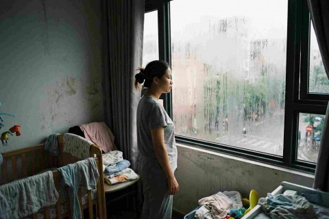 Hệ Sinh Thái Máy Hút Ẩm FujiHOME: Giải Pháp Toàn Diện Cho Mọi Không Gian Sống