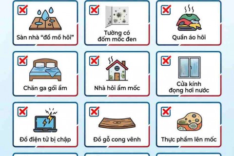 12 DẤU HIỆU CẢNH BÁO "BÁO ĐỘNG ĐỎ" KHI NHÀ BỊ NỒM ẨM – HÀNH ĐỘNG NGAY TRƯỚC KHI QUÁ MUỘN! 12 DẤU HIỆU CẢNH BÁO "BÁO ĐỘNG ĐỎ" KHI NHÀ BỊ NỒM ẨM – HÀNH ĐỘNG NGAY TRƯỚC KHI QUÁ MUỘN!
