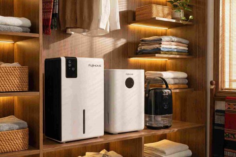Thị Trường Trung Quốc Và Việt Nam: Đâu Là Cơ Hội Cho Dòng Máy Hút Ẩm Mini Của Fujihome?
