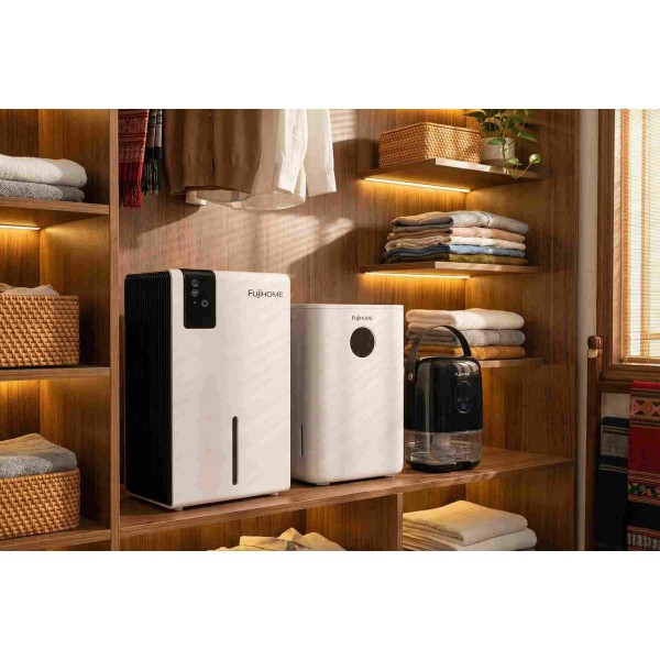 Thị Trường Trung Quốc Và Việt Nam: Đâu Là Cơ Hội Cho Dòng Máy Hút Ẩm Mini Của Fujihome?