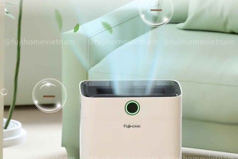 So Sánh Máy Hút Ẩm Fujihome Và Panasonic: Tại Sao Fujihome Là Lựa Chọn Tối Ưu?