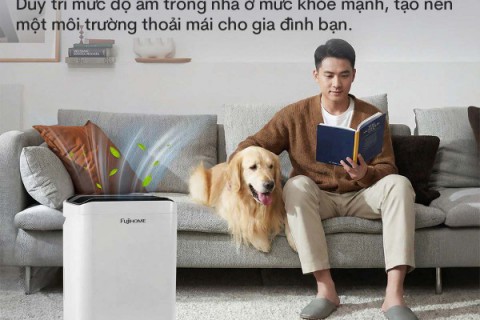 Giải Pháp Hút Ẩm Và Lọc Sạch Lông Thú Cưng Với Fujihome DH35W-HEPA Giải Pháp Hút Ẩm Và Lọc Sạch Lông Thú Cưng Với Fujihome DH35W-HEPA