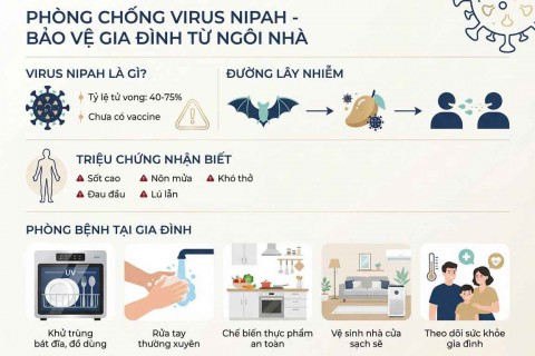 VIRUS NIPAH LÀ GÌ? MỐI NGUY HIỂM VÀ CÁCH CHỦ ĐỘNG BẢO VỆ GIA ĐÌNH VIRUS NIPAH LÀ GÌ? MỐI NGUY HIỂM VÀ CÁCH CHỦ ĐỘNG BẢO VỆ GIA ĐÌNH