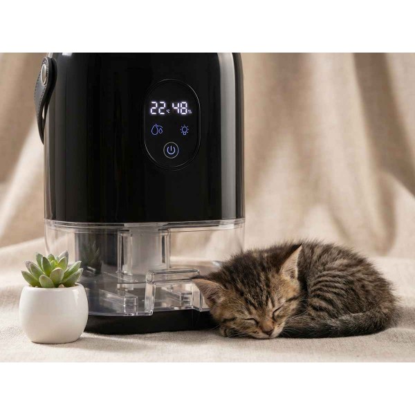 Nên Mua Máy Hút Ẩm Mini Hay Máy Hút Ẩm Công Suất Lớn? Phân Tích Từ Chuyên Gia