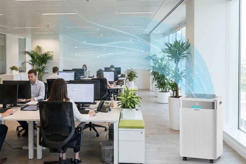 Máy Hút Ẩm HEPA Fujihome: Giải Pháp Tăng Năng Suất, Bảo Vệ Sức Khỏe Văn Phòng & Gia Đình