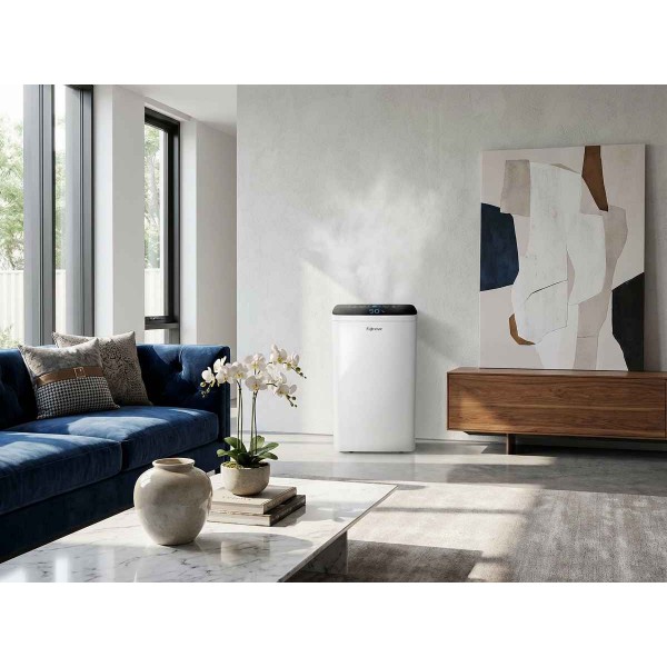 Gia Đình Trẻ Hà Nội Thoát Khỏi Nồm Ẩm Nhờ Fujihome DH10LITE: Bài Toán Sức Khỏe Và Kinh Tế Được Giải Quyết