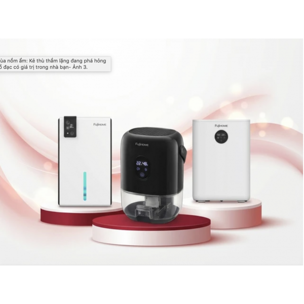 Mùa Nồm Ẩm: "Kẻ Thù" Phá Hủy Đồ Đạc Giá Trị Và Cách Khắc Phục Triệt Để