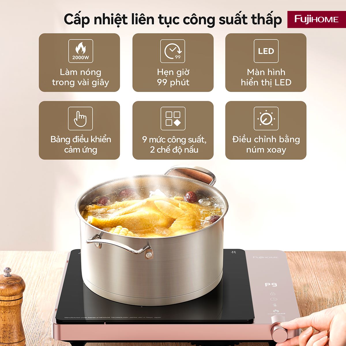 Bếp Từ Đơn Fujihome IC1207P