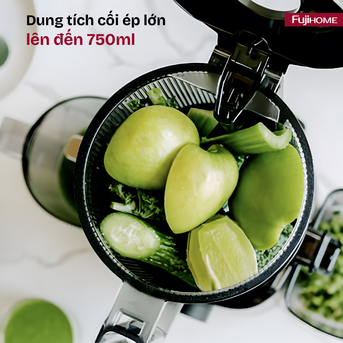 Máy ép chậm nguyên quả Fujihome SJ16