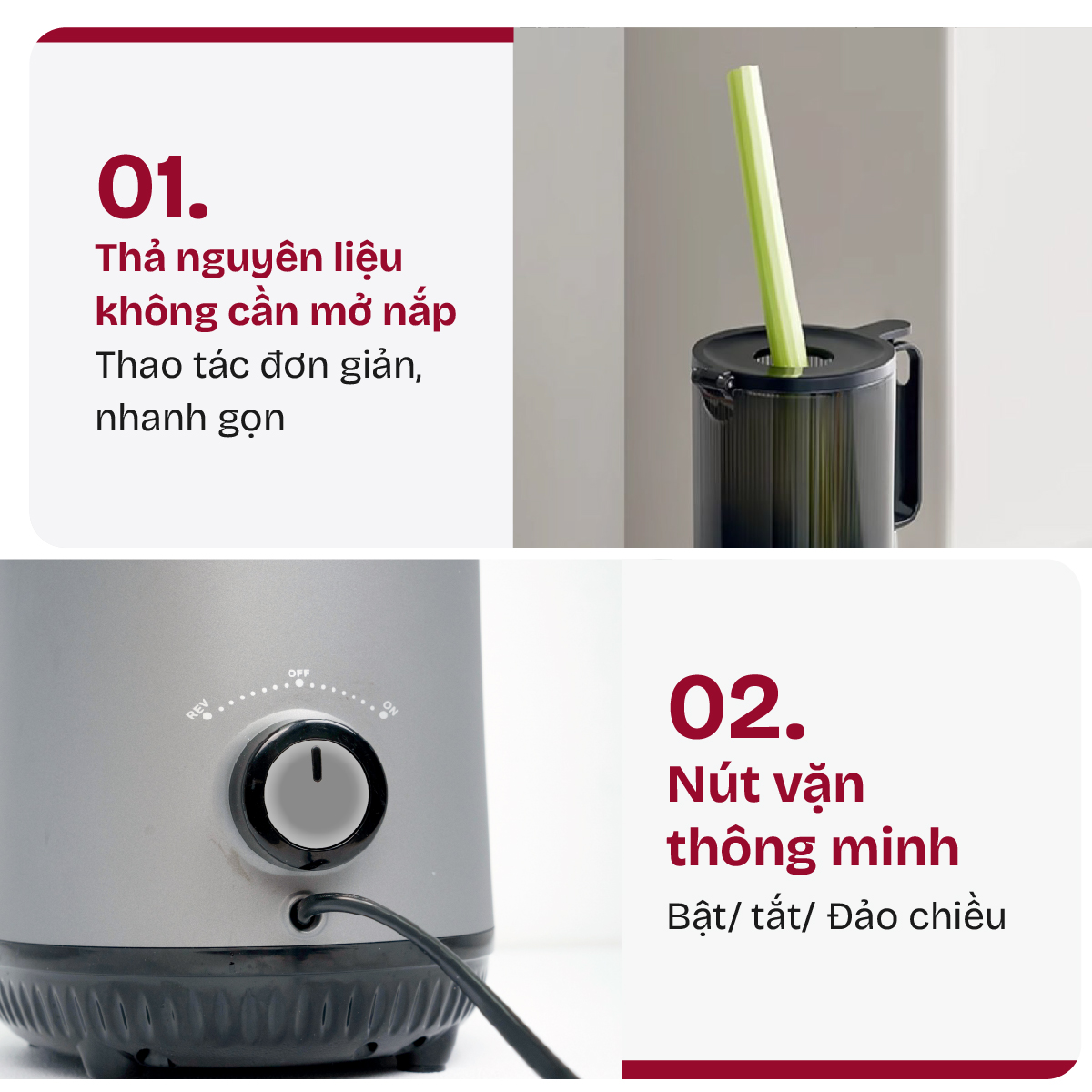 Máy ép chậm nguyên quả Fujihome SJ16