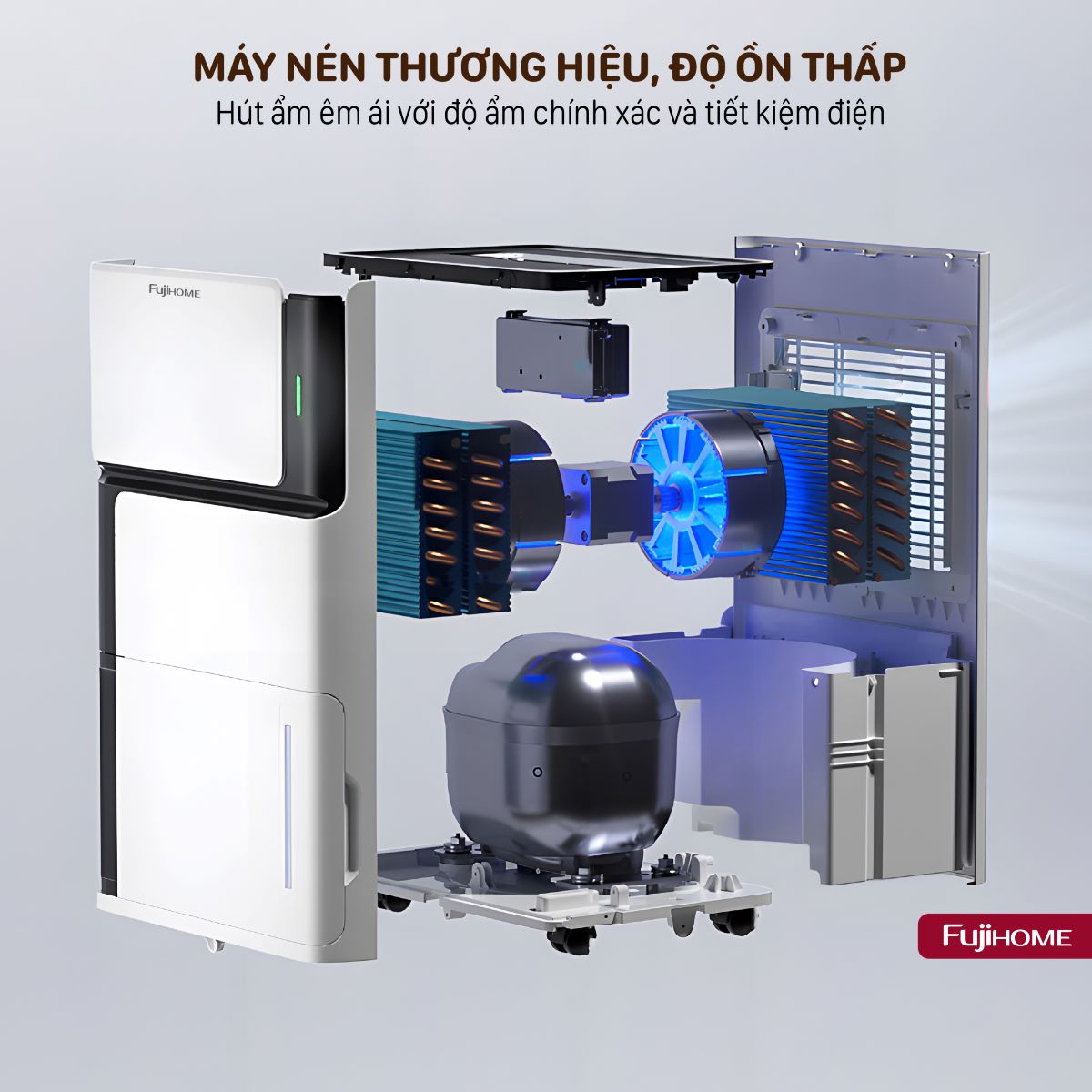 Máy hút ẩm dân dụng Fujihome DH07