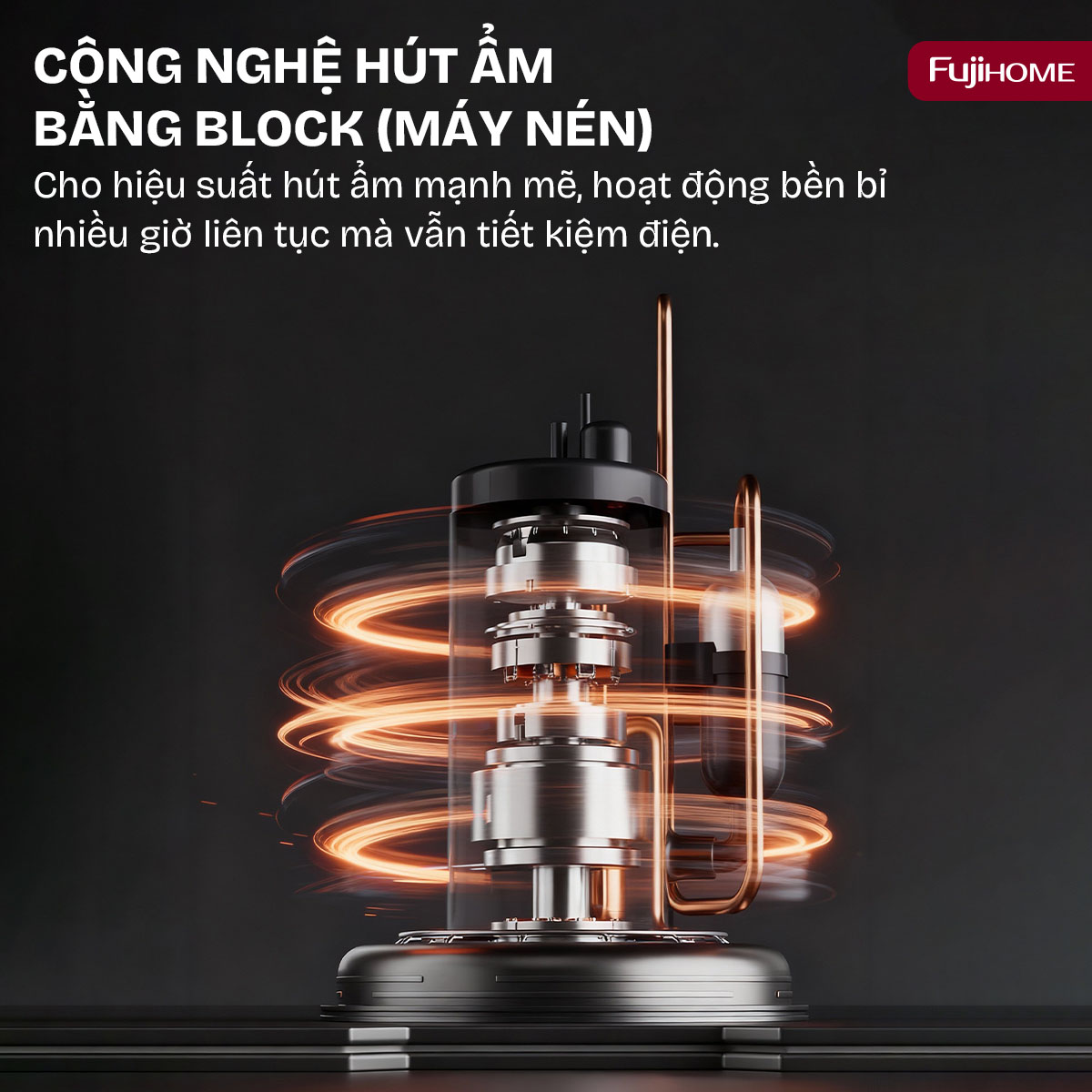 Máy hút ẩm dân dụng Fujihome DH10NEW