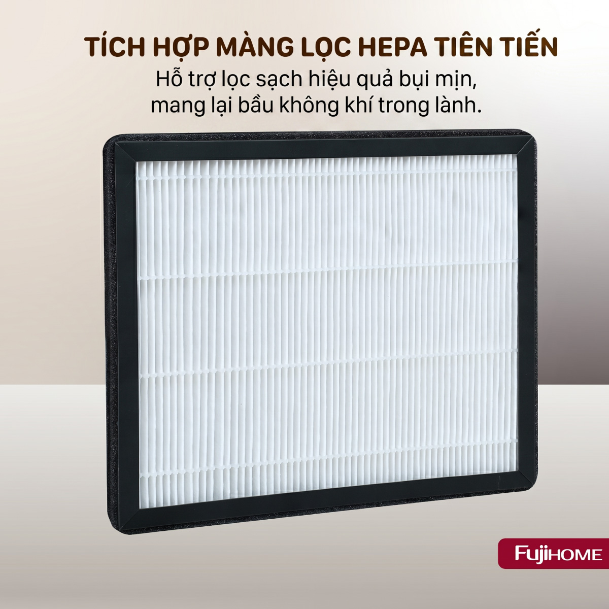 Máy hút ẩm dân dụng Fujihome DH16NW